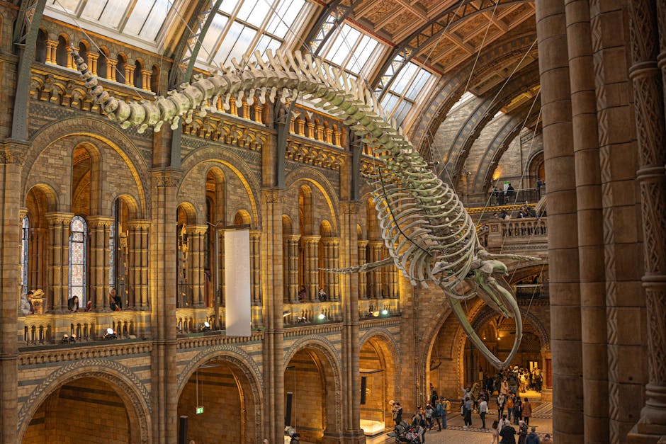 The image depicts the interior of a grand, historic building with a spacious, double-height central hall. The ceiling features an ornate, vaulted iron and glass roof structure, allowing natural light to illuminate the space below. The walls are constructed from light-colored bricks with decorative arches and columns, some of which have intricate detailing. Large, tall windows with rounded tops line the upper level, providing additional natural light and showcasing a classic architectural style. A staircase with a decorative balustrade is visible in the middle ground, leading up to an upper balcony that runs along the perimeter of the hall. In the background, at the far end of the room, there is a statue positioned on a pedestal, and various smaller niches and decorative features are integrated into the wall. The overall atmosphere combines historical elegance with a bright, airy ambiance, suited for a museum or public building that might be involved in aesthetic or educational activities, aligning with themes of heritage preservation and cultural exhibition.