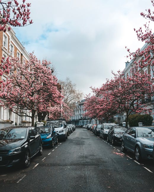 A residential street lined with parked cars along both sides, with a row of mature trees in full blossom featuring pink and white flowers on their branches, creating a canopy over the street. The pavement is visible, with some fallen petals scattered on the road surface. The surrounding buildings are Victorian-style terraced houses with white facades, decorative mouldings, and large windows, characteristic of urban residential architecture. The sky above is partly cloudy with patches of blue visible through the cloud cover, and the overall scene is calm and orderly. This setting suggests a suburban area where private waste collection services—such as those offered by Waste Removals South Kensington—may be used for rubbish disposal, contrasting with local authority collection, especially in affluent neighbourhoods. The image showcases an environment where on-site clearance or private waste handling could be pertinent for residents managing garden and household waste, aligned with the context of independent rubbish removal services.